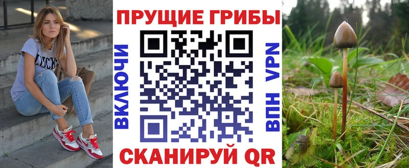 Купить где Оханск Псилоцибиновые грибы Magic Shrooms