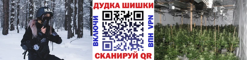 Купить закладки  Оханск  Бошки Шишки сатива 